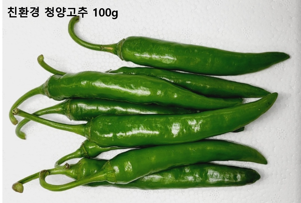 이미지3